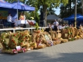 Dożynki Gminne 2015