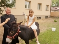 Festiwalu Orkiestr Dętych w Bełchatowie